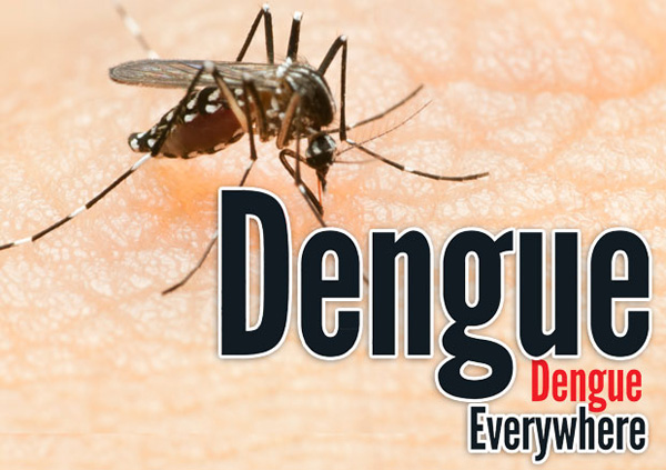 dengue treatment