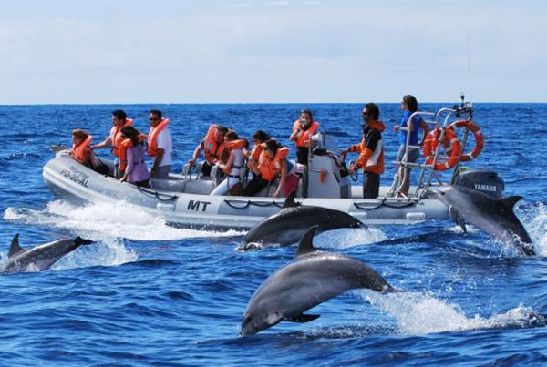 කල්පිටිය සංචාරක පුරවරයක් කරන්න යයි