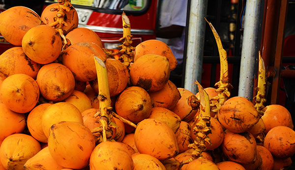 කැලෑ මාකට් එකට නොයෙන තැඹිලි