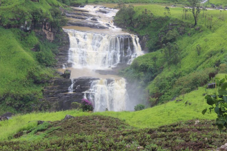 දිය ඇලි කොමලියන් සිනාසෙයි