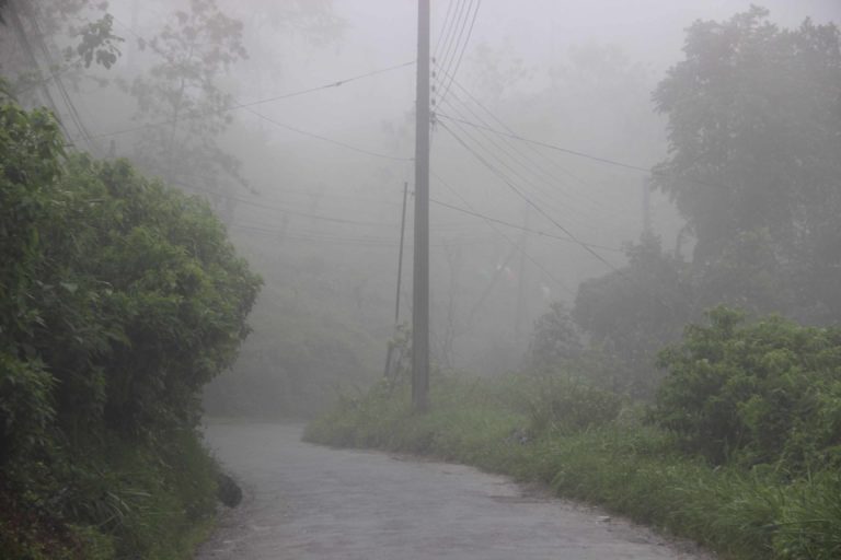 මහ වැස්ස එළවළු වගාවට හරස් වෙයි