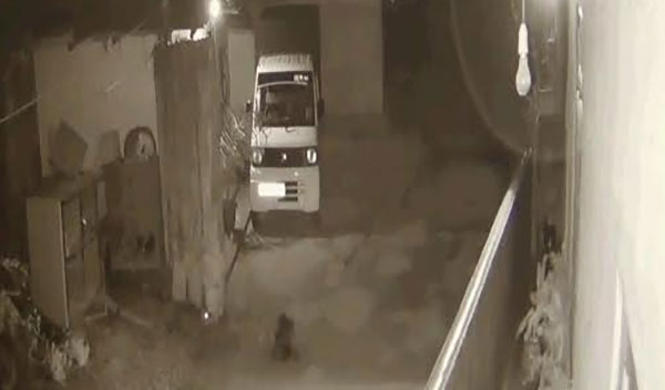 දිවියන් නිසා කොටගල ජනතාව දැඩි භීතියකට