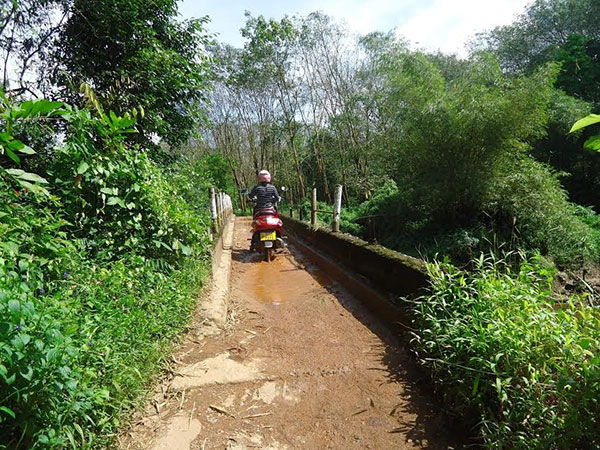 ඡන්ද පොරොන්දු සමඟ පෝරුතොට පාලමත් කැලෑවට