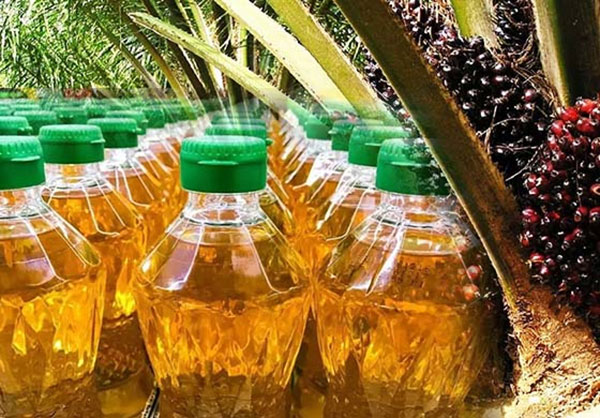 ජනාධිපති මාමේ අපට ෆාම් තෙල් කවන්න ඉඩ දෙන්න එපා