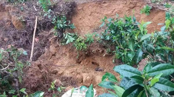 වලක් හැරිමට තැත් කිරිමේදි එහි පස් කඩා වැටිමෙන් තරුණයකු මිය යයි