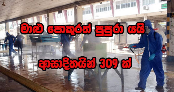මාළු පොකුරත් පුපුරා යයි – ආසාදිතයින් 309 ක්