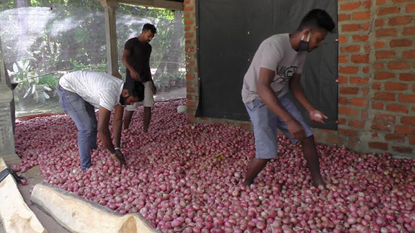 ලොකු ලූණු රුපියල් සියයකට අලෙවි කළ නොහැකි තත්වයක්