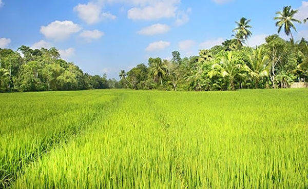 Empowering Farmers: Historic Land Ownership Program Launched in Sri Lanka