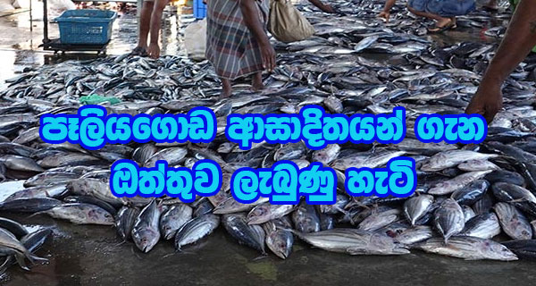 පෑලියගොඩ ආසාදිතයන් ගැන ඔත්තුව ලැබුණු හැටි