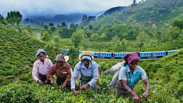 වතු කම්කරුවන් ශ්‍රිලංකාවට පැමින වසර 200ක් පිරිම නිමිති කර ගෙන පාගමනක් හා රැස්විමක්