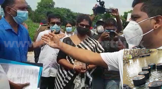 muthurajawela crocodile