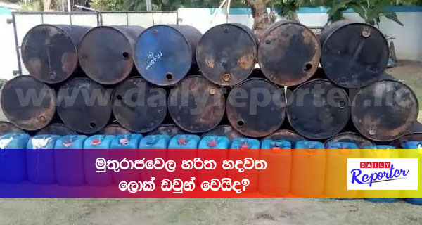 මුතුරාජවෙල හරිත හදවත ලොක් ඩවුන් වෙයිද?