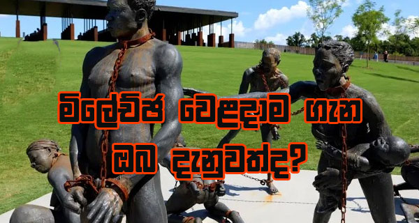 මිලේච්ඡ වෙළදාම ගැන ඔබ දැනුවත්ද?