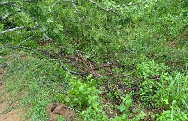 යුවලක් බුරවිට හසුවි තුවාල ලබයි