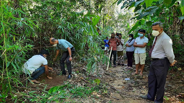 නාවලකන්ද, බලගල දොළ රක්ෂිතයේ රුක් රෝපණ වැඩසටහන