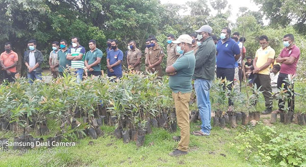 වෙහෙරගොඩයාය අක්කර 2000ක පැල සිටුවීම අරඹයි