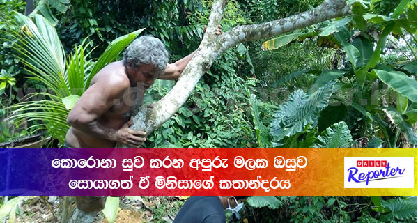 කොරොනා සුව කරන අපුරු මලක ඔසුව සොයාගත් ඒ මිනිසාගේ කතාන්දරයයි