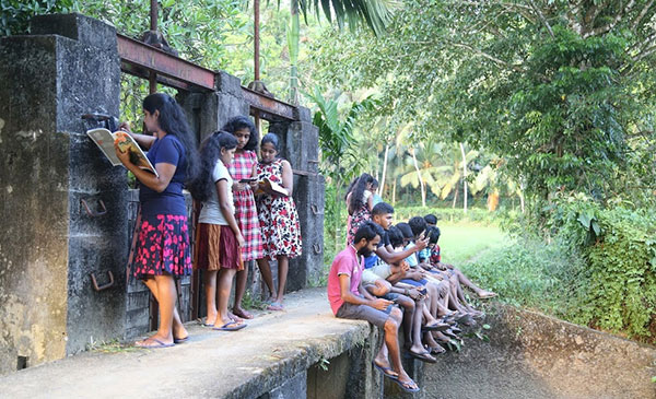 ඔන්ලයින් අධ්‍යාපනයේ සිග්නල් සොයා යාම