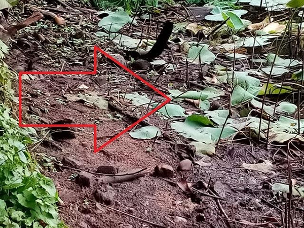 වන්නියම්කුලම වැව අනතුරේ