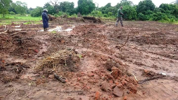 Man arrested for bulldozing reserve