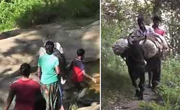 පාරක් නොමැතිව කිලෝමීටර් 5ක දුරක් පාගමනින් යන අසරණයින්