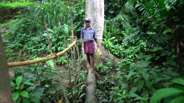 එක මුලයි ගස් පහයි ඒ දඩු පාලම් එකයි!