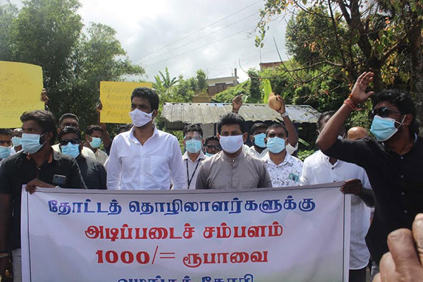 වතු කම්කරු දෛනික වැටුප වැඩිකිරීම වෙනුවෙන් පිකටින් ව්යාපාරයක්