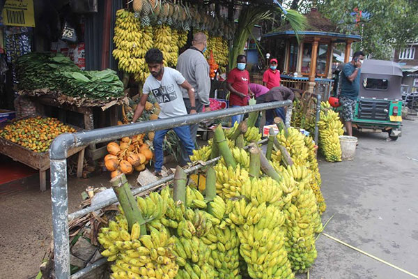 තෛයි පොංගල් උත්සවයට ජනතාව සුදානම්
