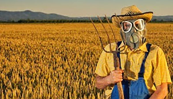 වෙහෙරගොඩ යායේ අනවසර ගොවිතැන් කර වැඩ වරදී