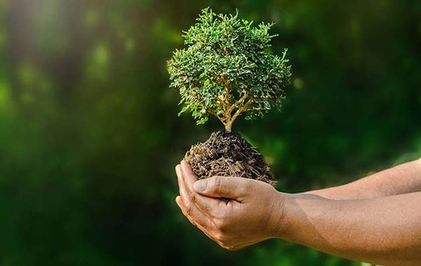 ඩෝසරයෙන් රට පරිසරය බේරාගනිමු