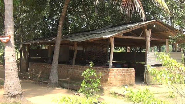 රන්පත්විල මහ විද්යාලයට කුඩම්මාගේ සැලකිලි