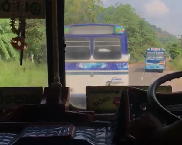 bus