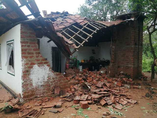 අලි වැඩ පෙන්වයි – ගම්මානයක් අනතුරේ