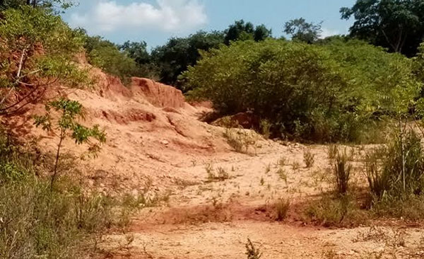 මිහින්තලය වැනසු මන්ත්‍රීවරයෙකු කිඹුල් කදුළු සලයි