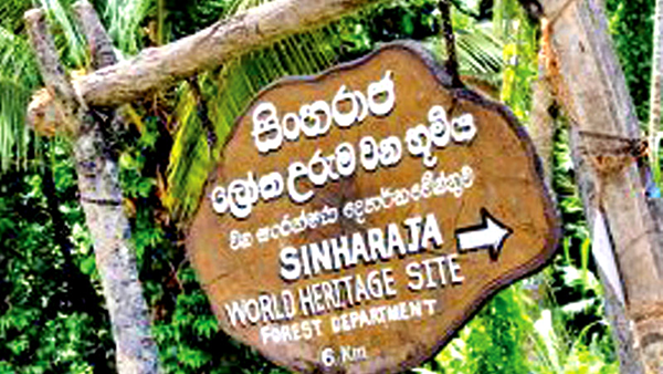 සිංහරාජය කවියක්නම් මම එහි පදපෙළක්