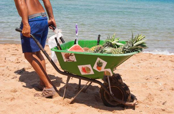 wheelbarrow
