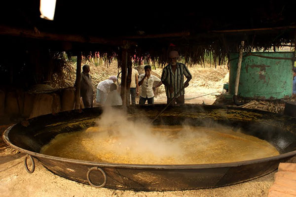 කැලේ මැදගමේ ගමේ උක් පැණිවන් මතක