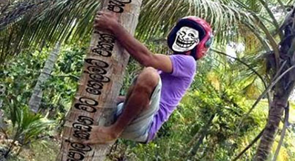 පොල් හොරෙන් කඩා ගුටි බැටත් දෙයි