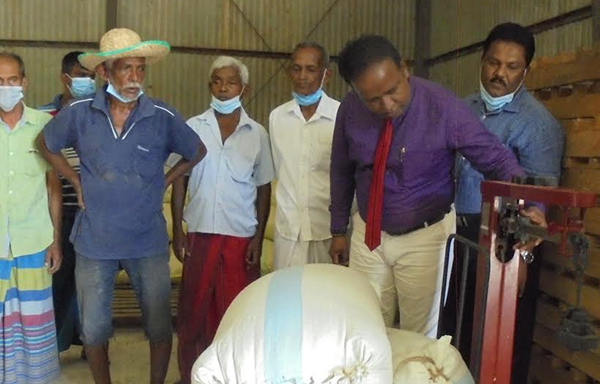 වී අලෙවි මණ්ඩලයෙන් වී කිලෝ ලක්ෂ 10ක් මිලට ගනියි