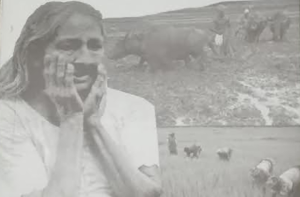wakugadu