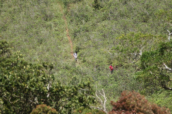 සිංහරාජය අවට මහාපරිමාණ LRC ඉඩම් මංකොල්ලයක්