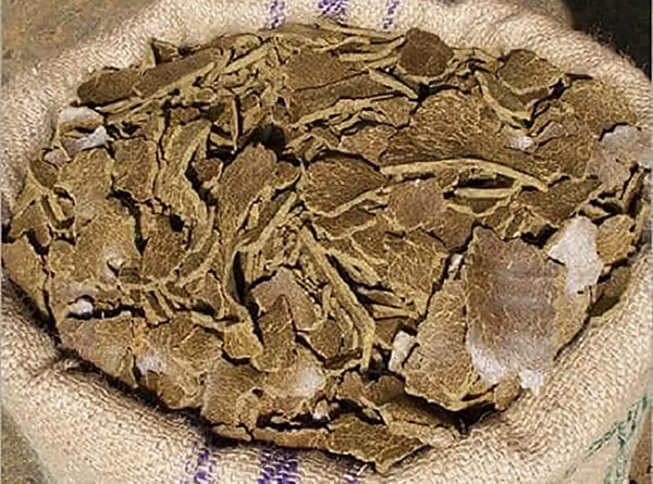 punnakku