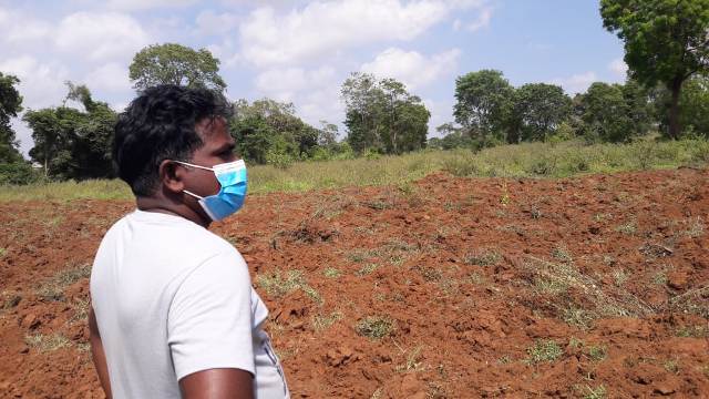 මිහින්තලය පුරාවිද්‍යා බිම සී සෑම කාගේ උවමනාවක්ද?