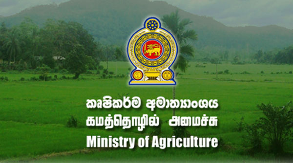 agriculture