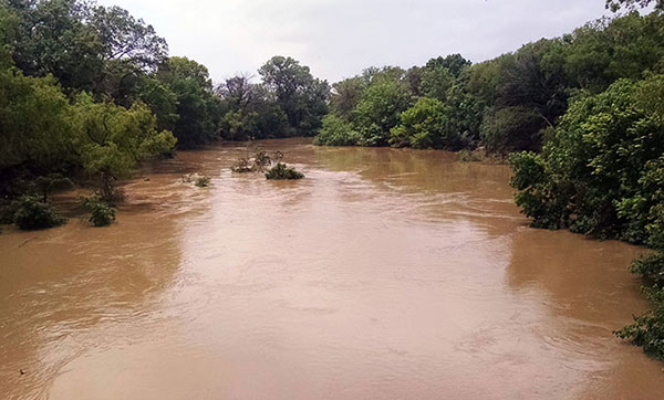 kelani-river-flood