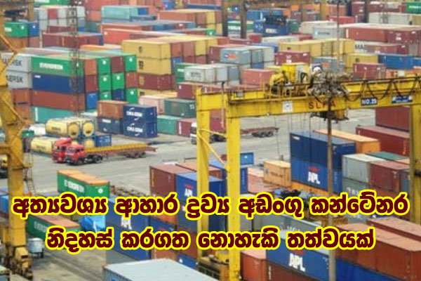 containers for other food items