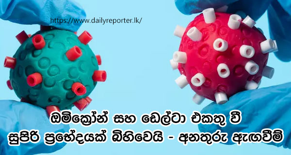 ඔමික්‍රෝන් සහ ඩෙල්ටා එකතු වී සුපිරි ප්‍රභේදයක් බිහිවෙයි – අනතුරු ඇඟවීම්