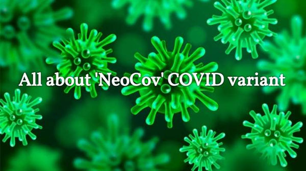නවතම කොරෝනා වයිරසය NeoCov