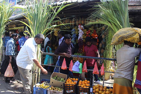 තෛයිපොංගල් උත්සවයට ජනතාව සුදානමින්