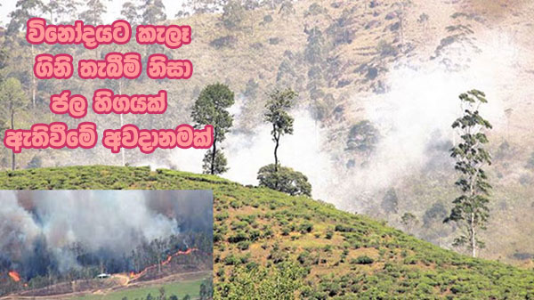 විනෝදයට කැලෑ ගිනි තැබීම් නිසා ජල හිගයක් ඇතිවීමේ අවදානමක්